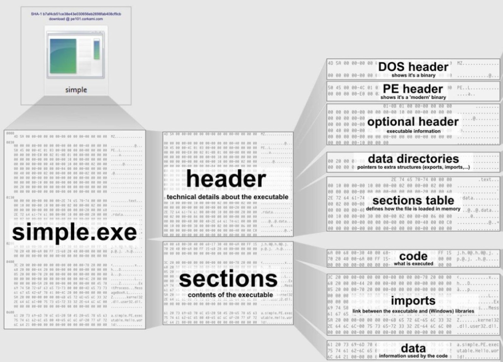 a-comprehensive-guide-to-pe-structure-the-layman-s-way